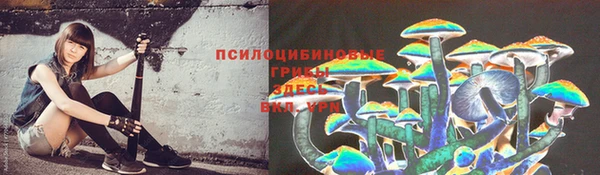 твердый Алзамай